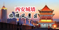 国产破处视频中国陕西-西安城墙旅游风景区